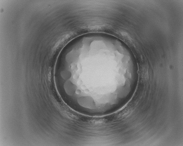 X0000069380495200605192152