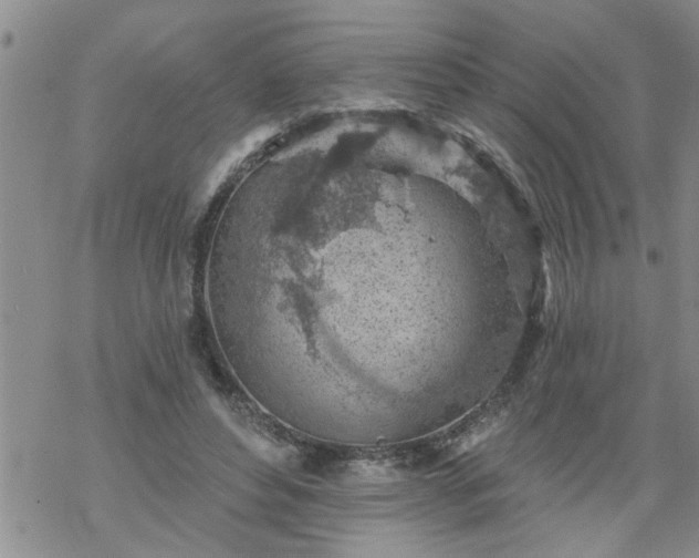 X0000069380496200605192152