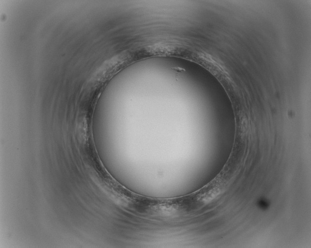 X0000069380498200605192152