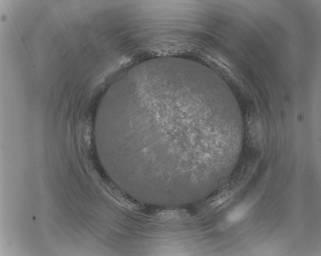 X0000069380499200605192152