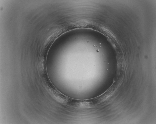 X0000069380501200605192152