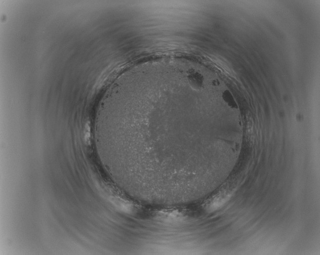 X0000069380502200605192152