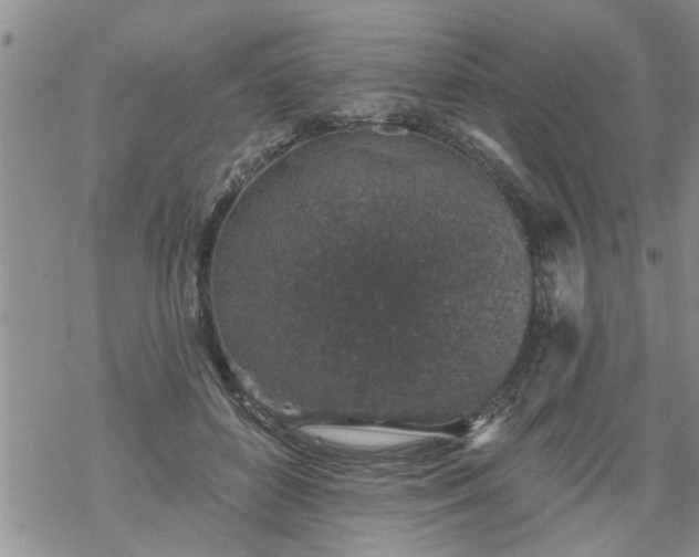 X0000069380504200605192152