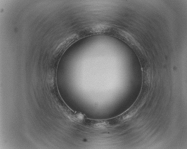 X0000069380505200605192152