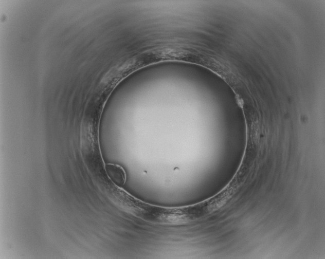 X0000069380506200605192152