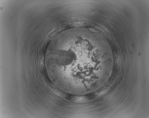 X0000069380507200605192152