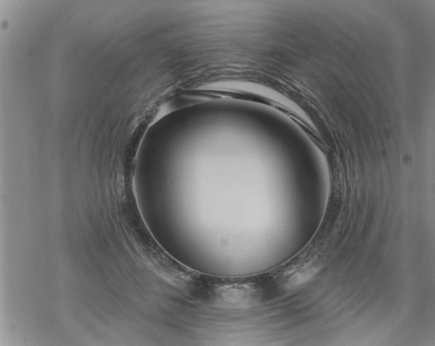 X0000069380508200605192152