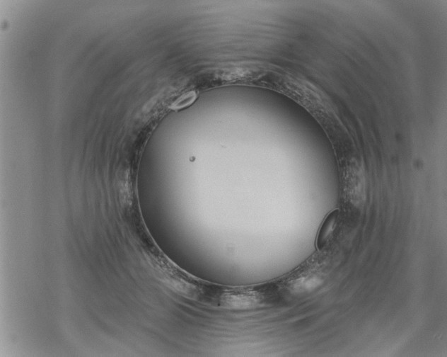 X0000069380510200605192152