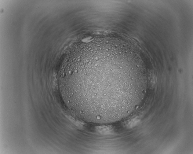 X0000069380511200605192152