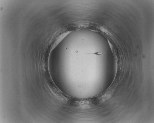 X0000069380512200605192152