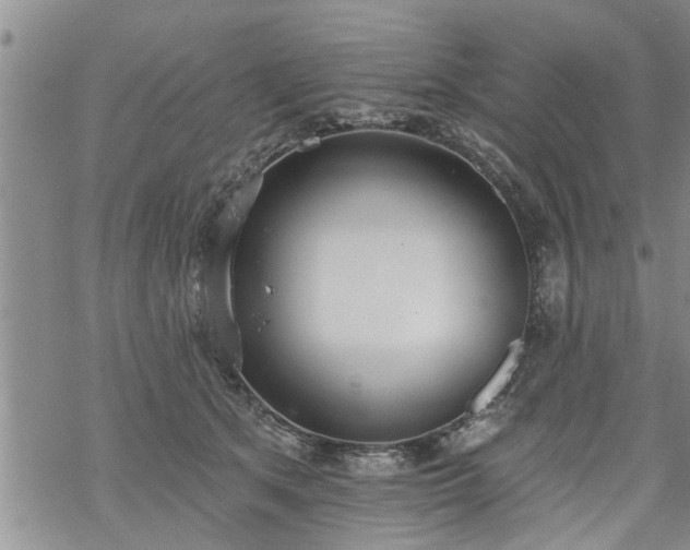 X0000069380513200605192152