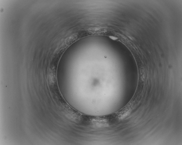 X0000069380515200605192152