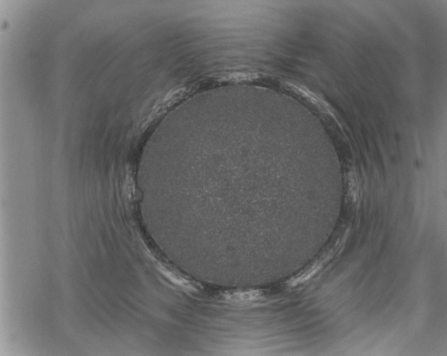 X0000069380517200605192152