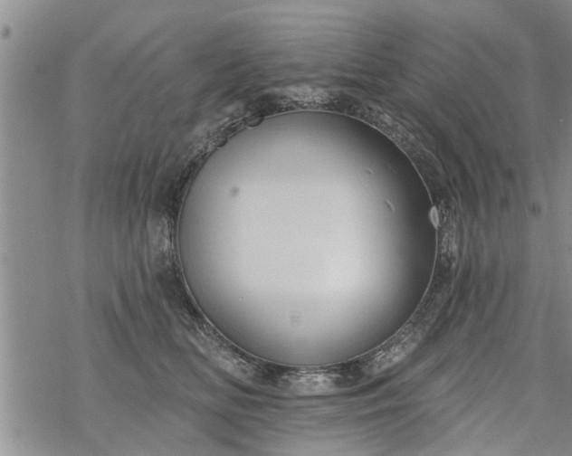 X0000069380518200605192152