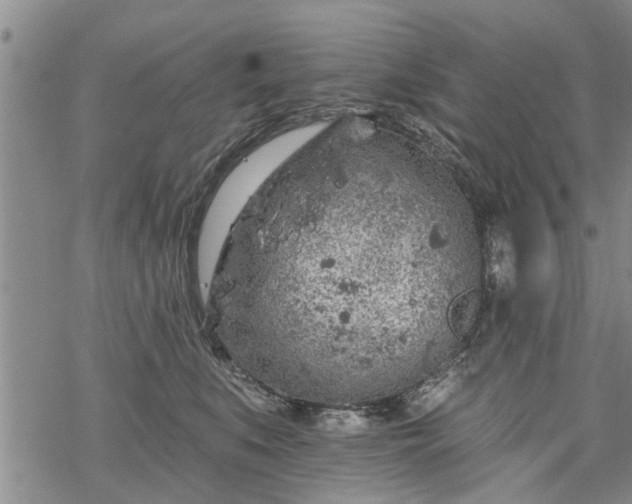 X0000069380519200605192152