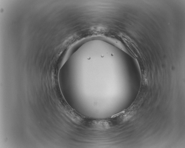 X0000069380520200605192152