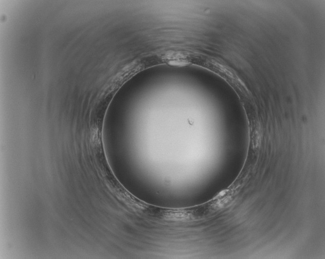 X0000069380521200605192152