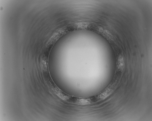 X0000069380522200605192152