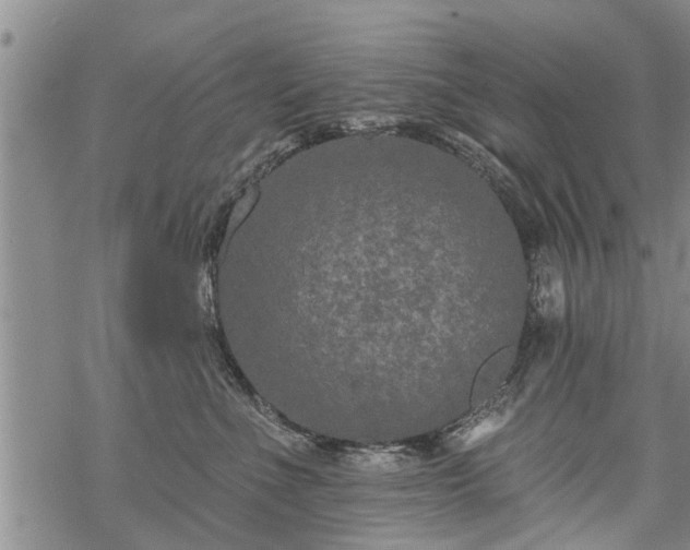 X0000069380523200605192152