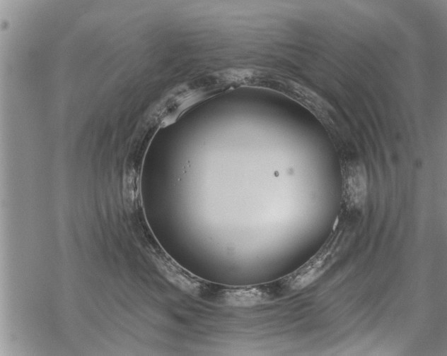 X0000069380525200605192152