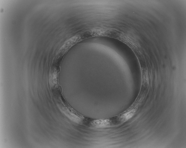 X0000069380526200605192152