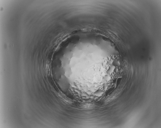 X0000069380527200605192152