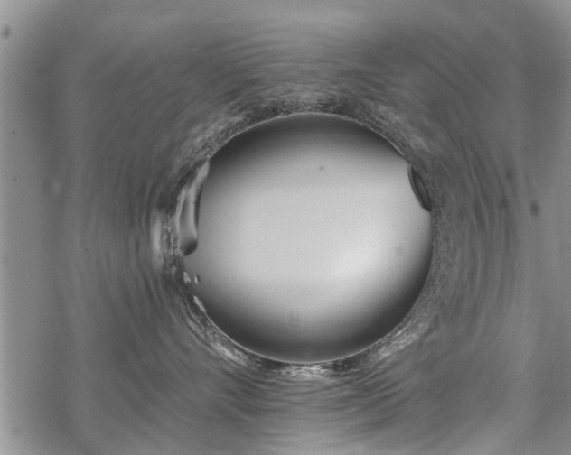 X0000069380528200605192152