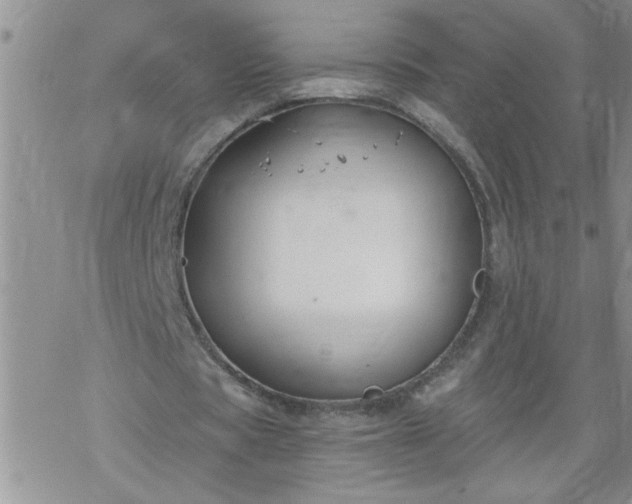 X0000069380529200605192151