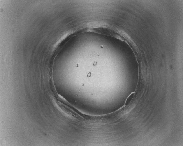 X0000069380530200605192151