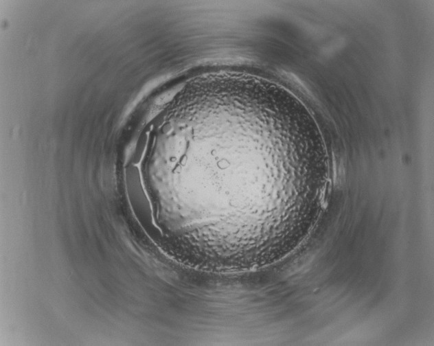 X0000069380531200605192151