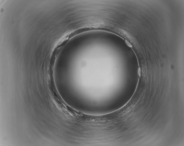 X0000069380532200605192151