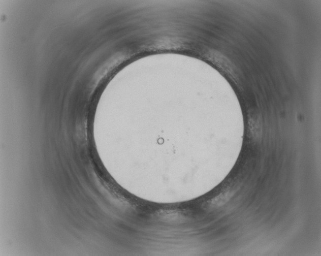 X0000069380534200605192151