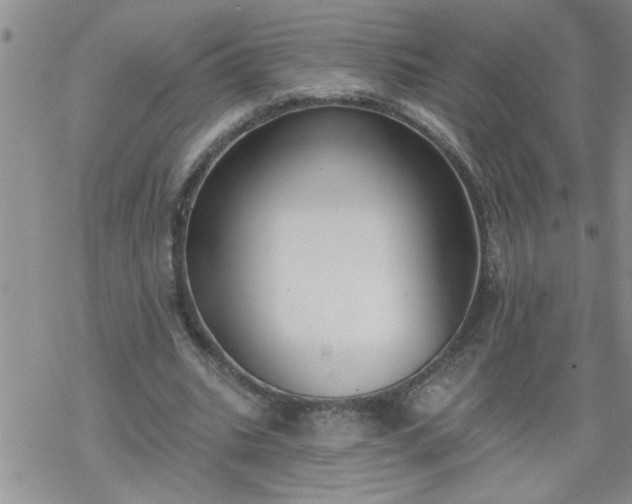 X0000069380535200605192151