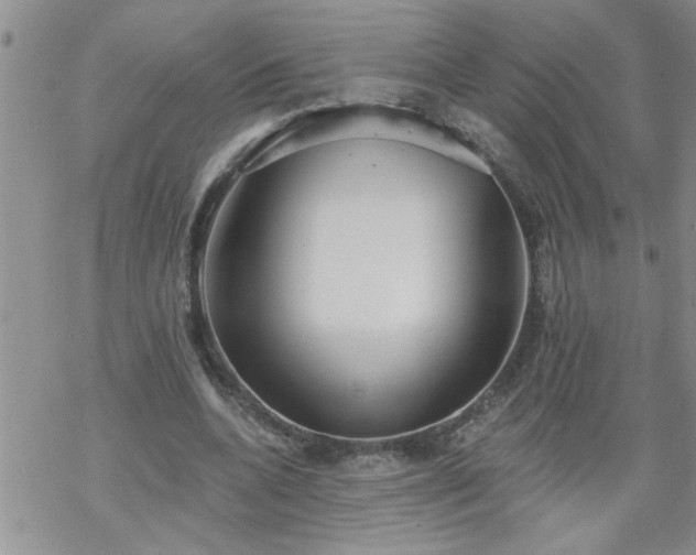 X0000069380536200605192151