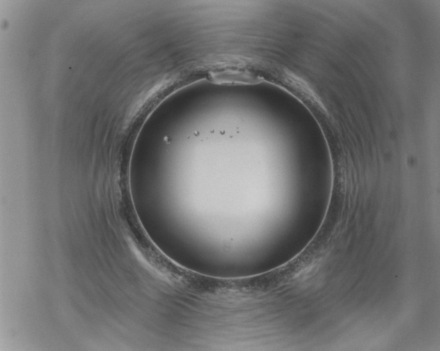 X0000069380538200605192151