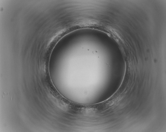 X0000069380539200605192151