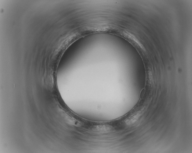 X0000069380541200605192151