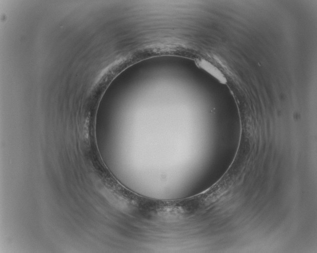 X0000069380543200605192151