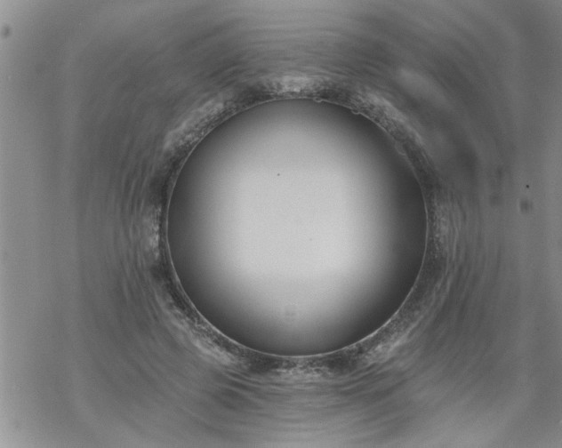 X0000069380545200605192151