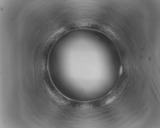 X0000069380546200605192151