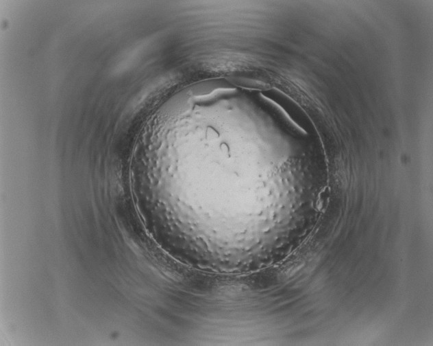 X0000069380547200605192151