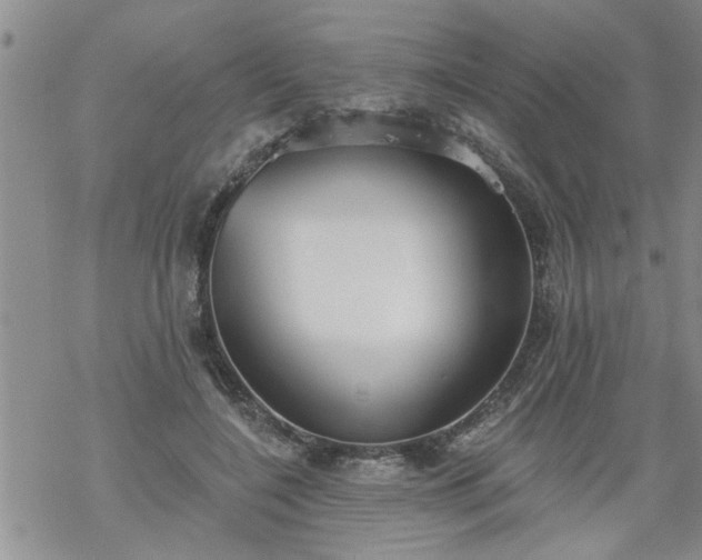 X0000069380548200605192151