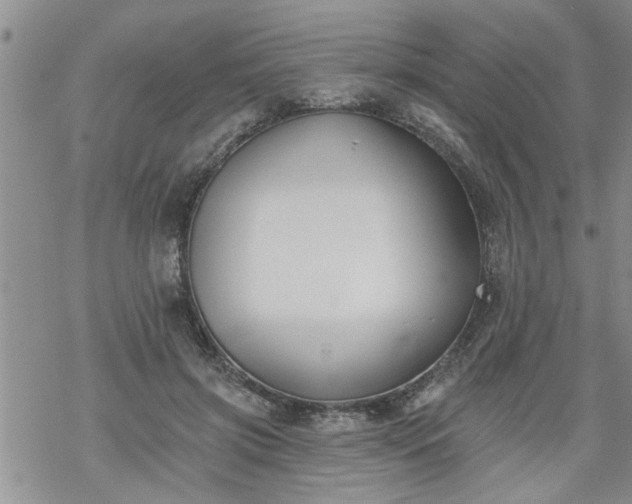 X0000069380549200605192151