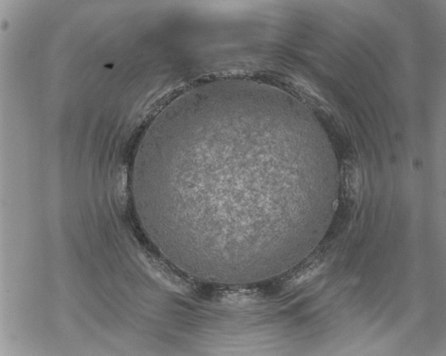 X0000069380550200605192151