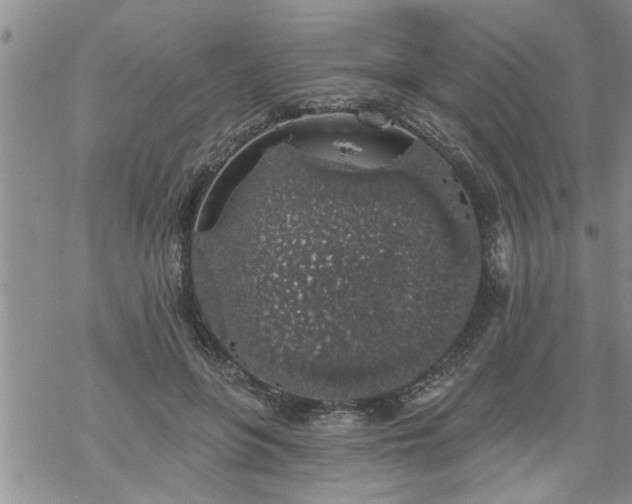 X0000069380551200605192151