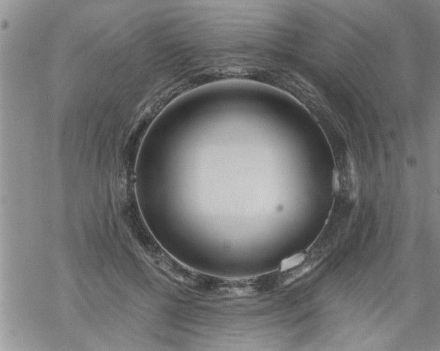 X0000069380552200605192151