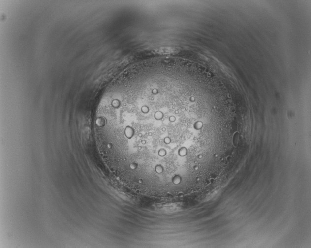 X0000069380553200605192151