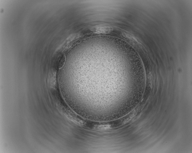 X0000069380554200605192151