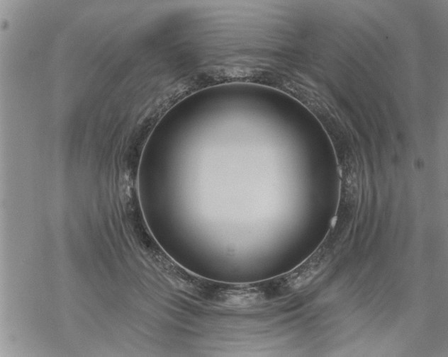 X0000069380555200605192151