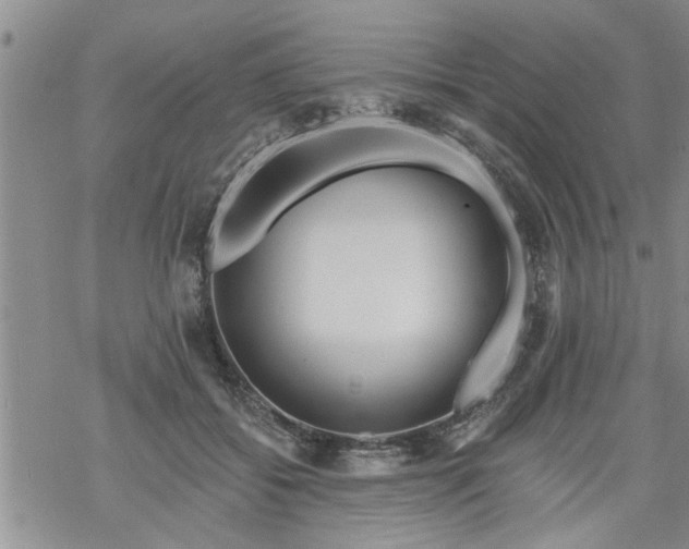 X0000069380556200605192151